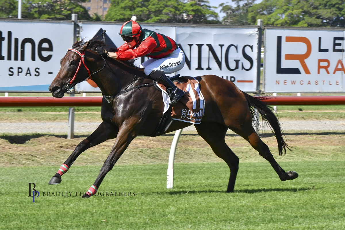 Gary Harley – Wrap – 11.01.24