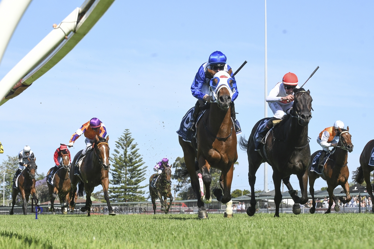 Gary Harley – Preview – 13.04.24