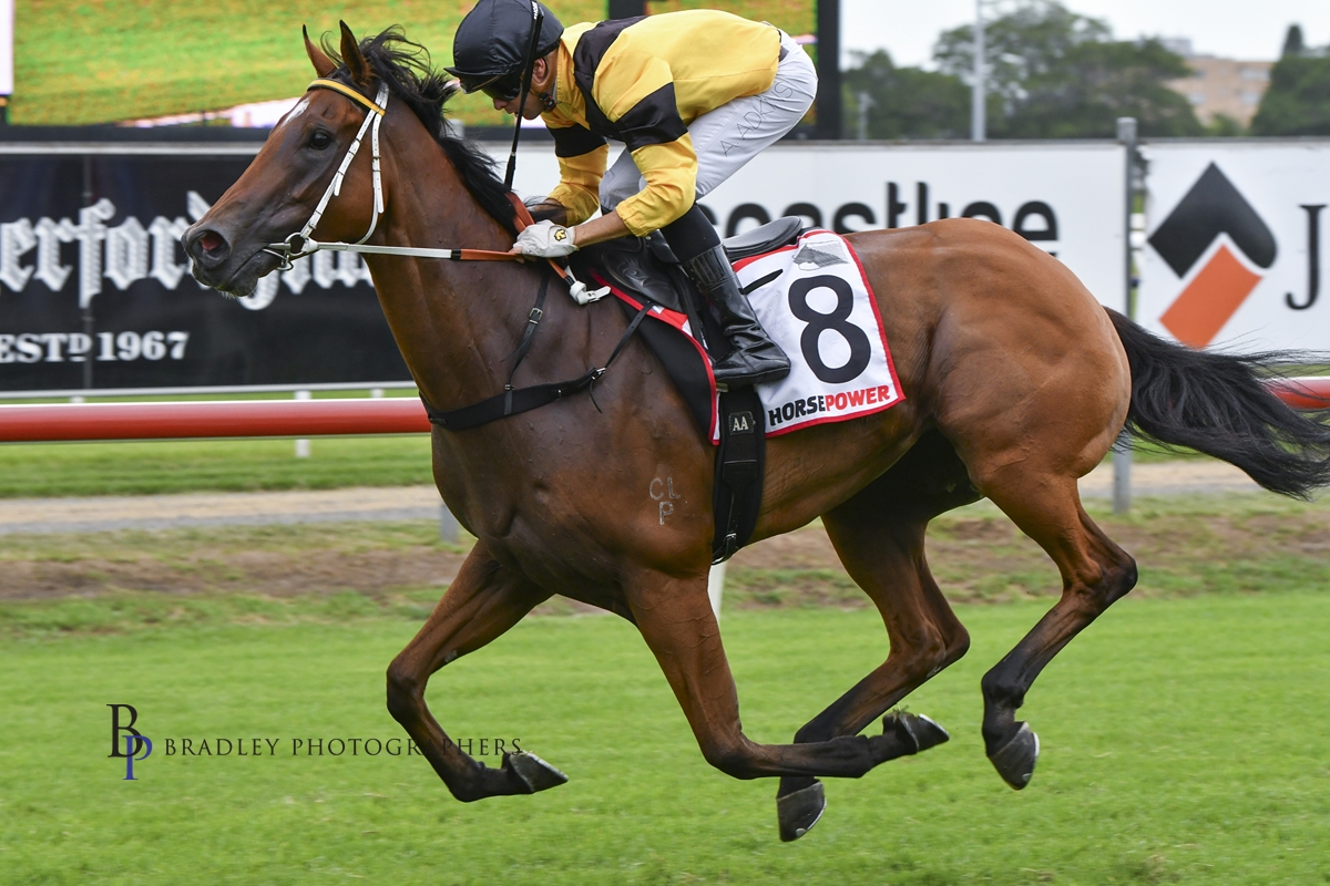 Gary Harley – Wrap – 17.02.24