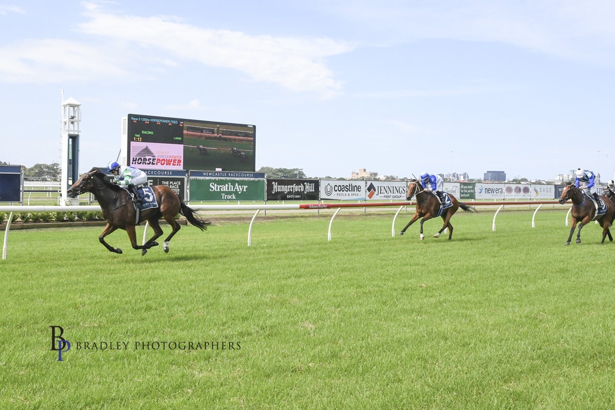 Gary Harley – Wrap -26.02.24