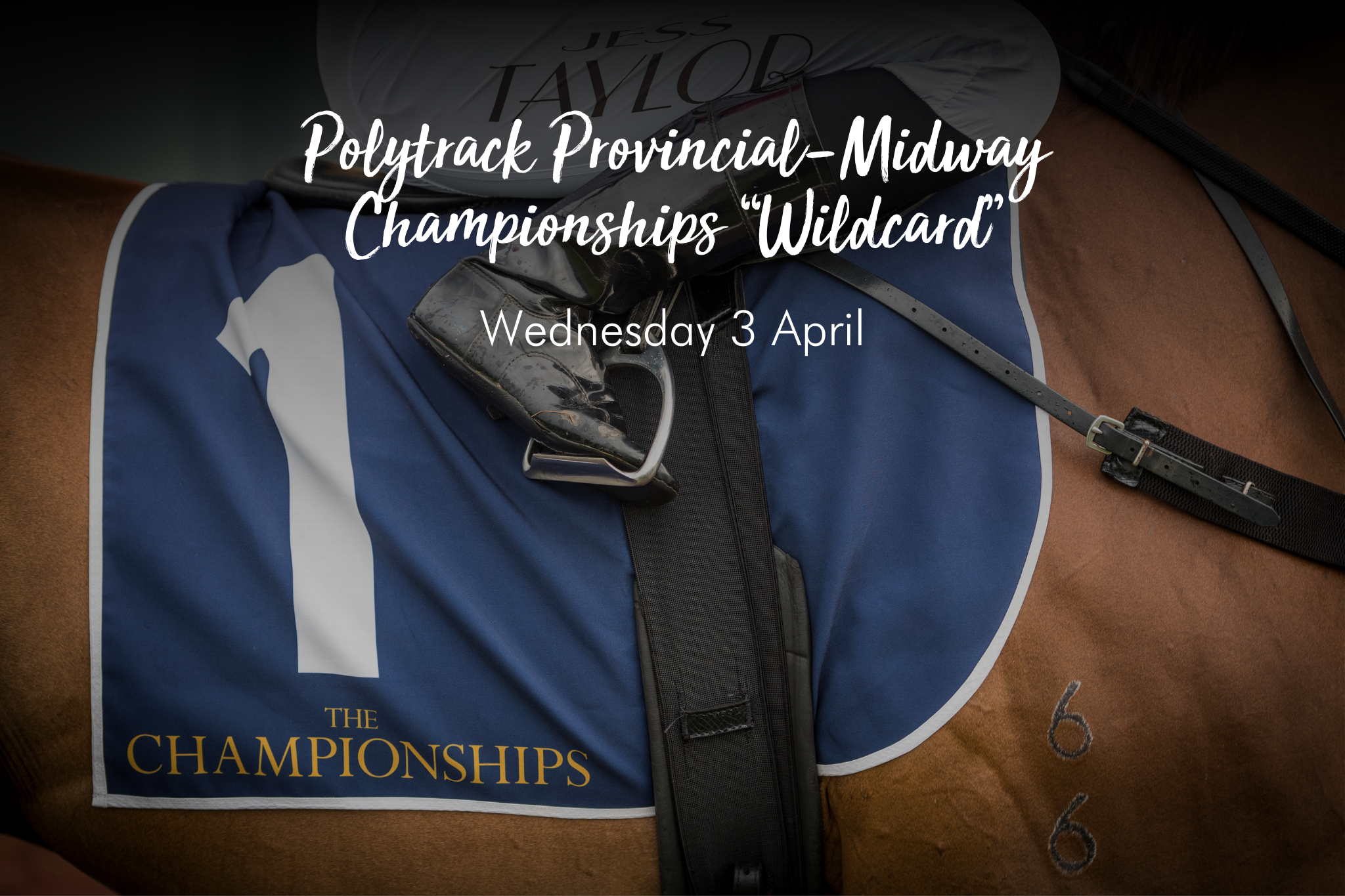 Polytrack Provincial-Midway Championships  "Wildcard"