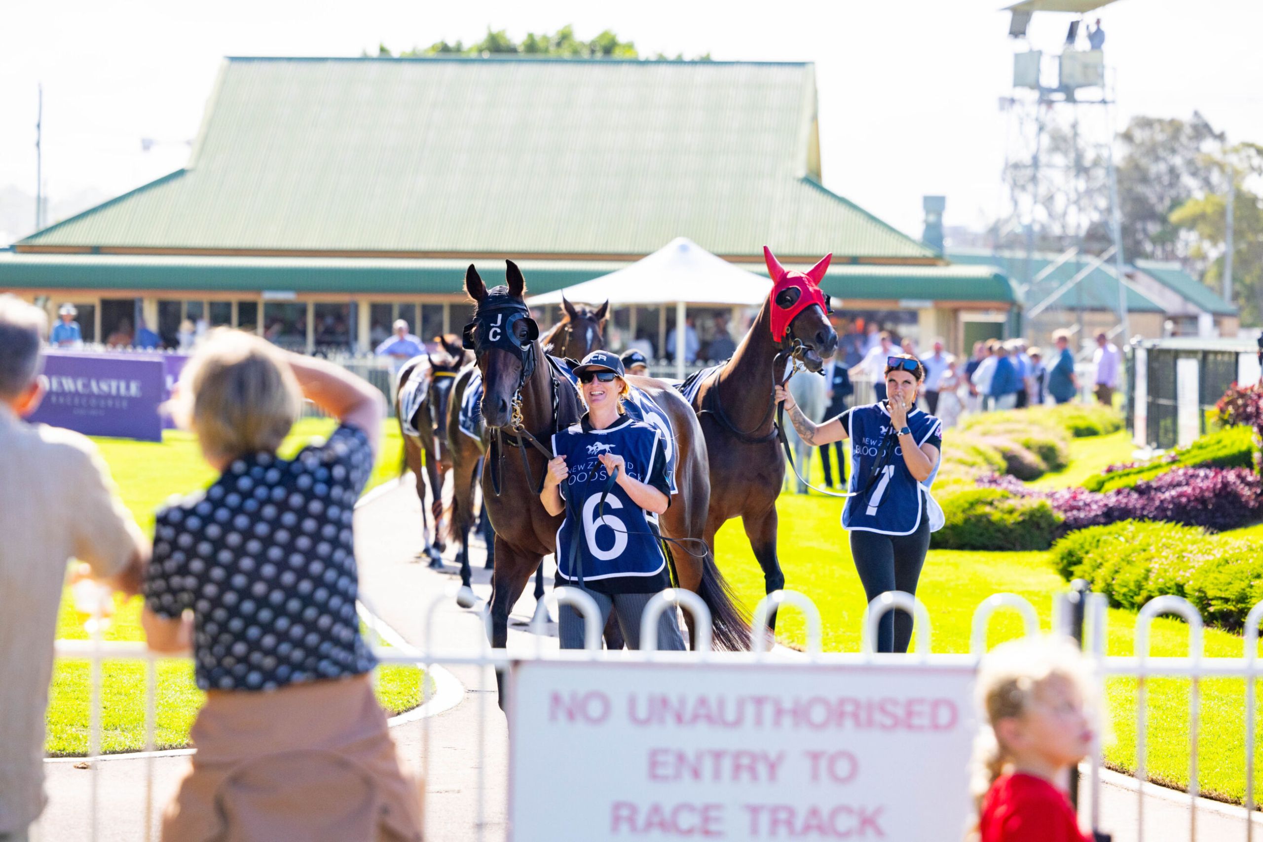 Gary Harley – Preview – 17.02.24