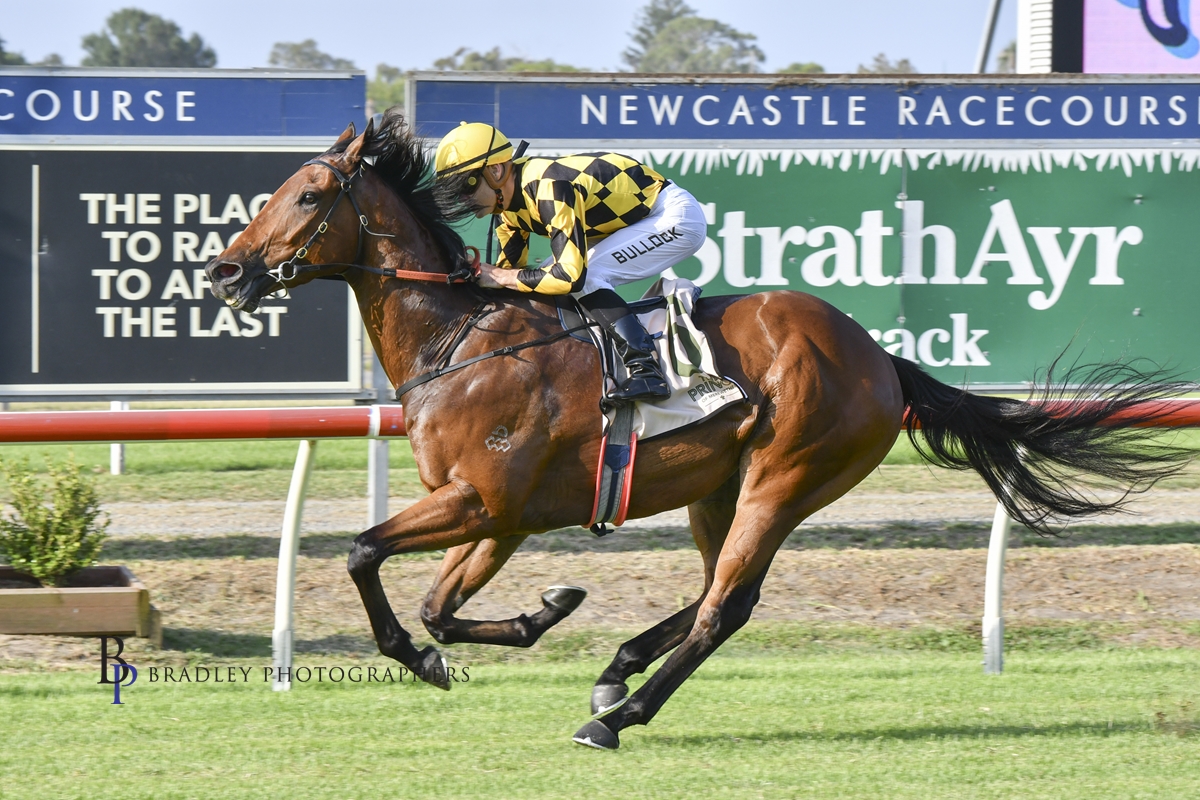 Gary Harley – Wrap – 03.02.24