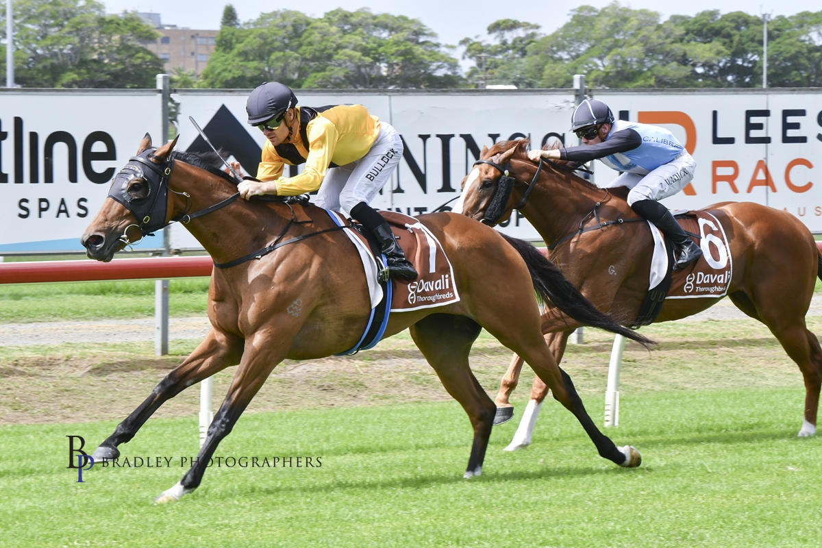 Gary Harley – Wrap – 10.02.24