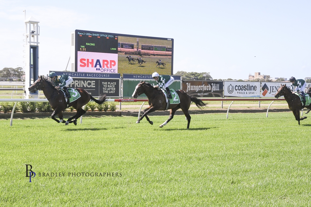 Gary Harley – Wrap – 21.03.24