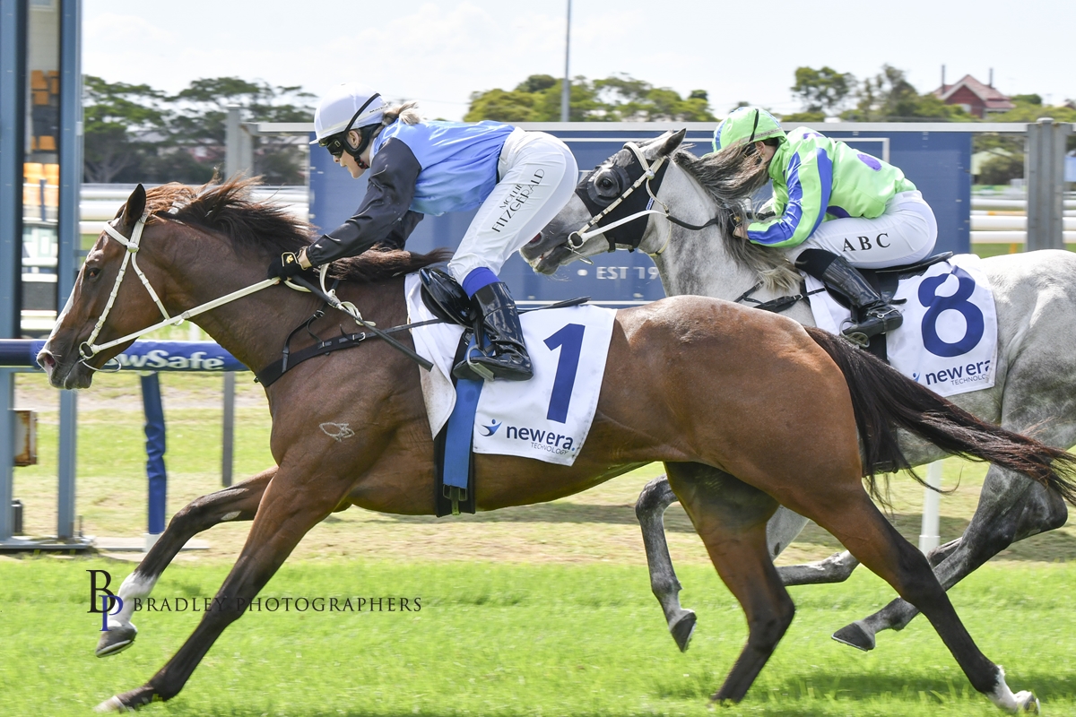 Gary Harley – Wrap – 25.03.24