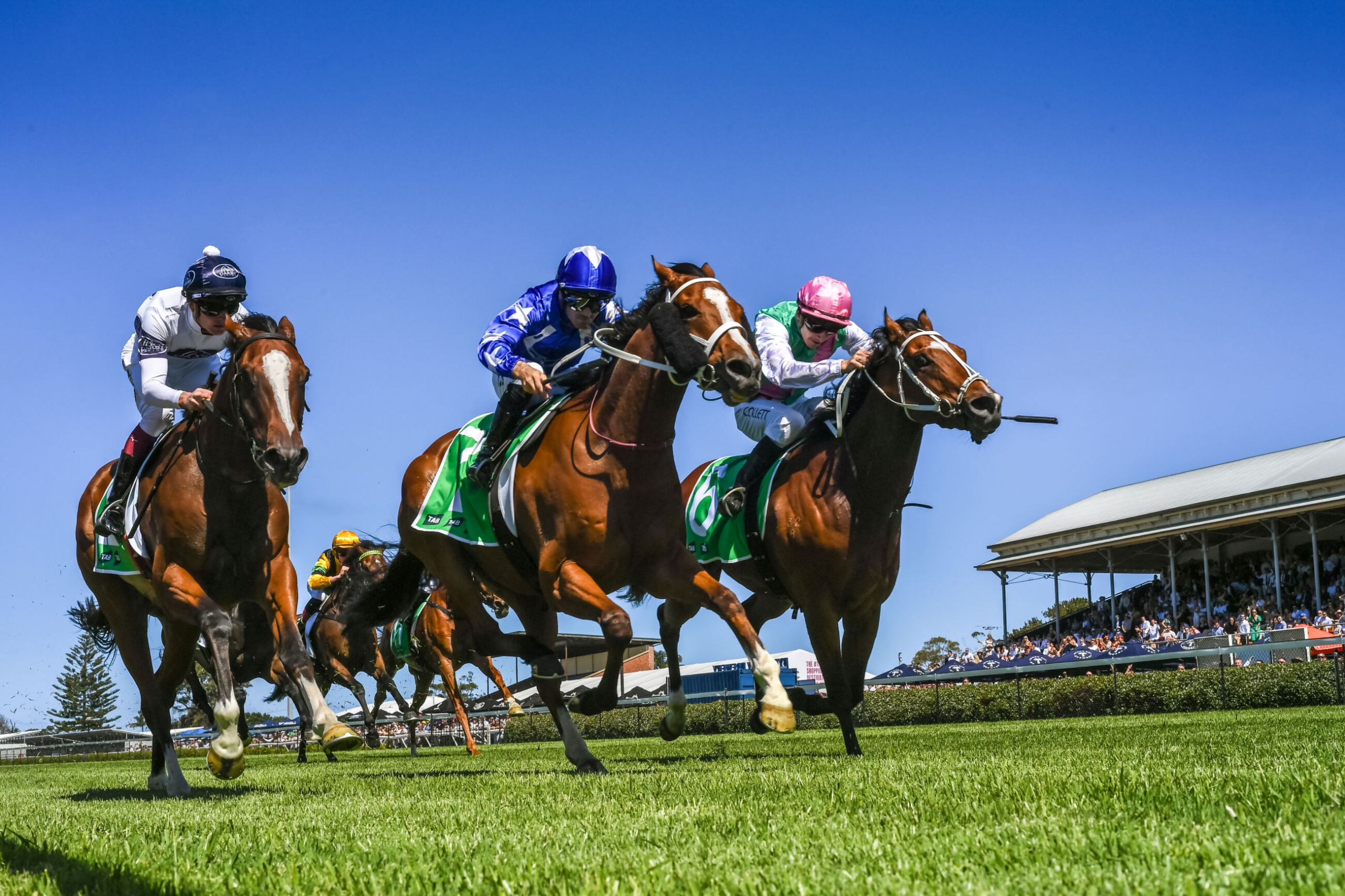 Gary Harley – Herald – 21.03.24