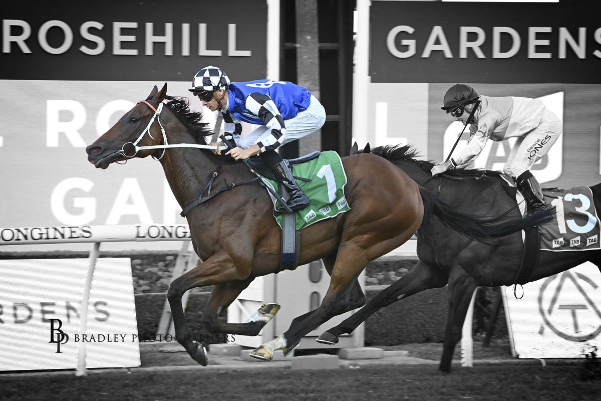 Tough Almania gives Lees feature weekend treble