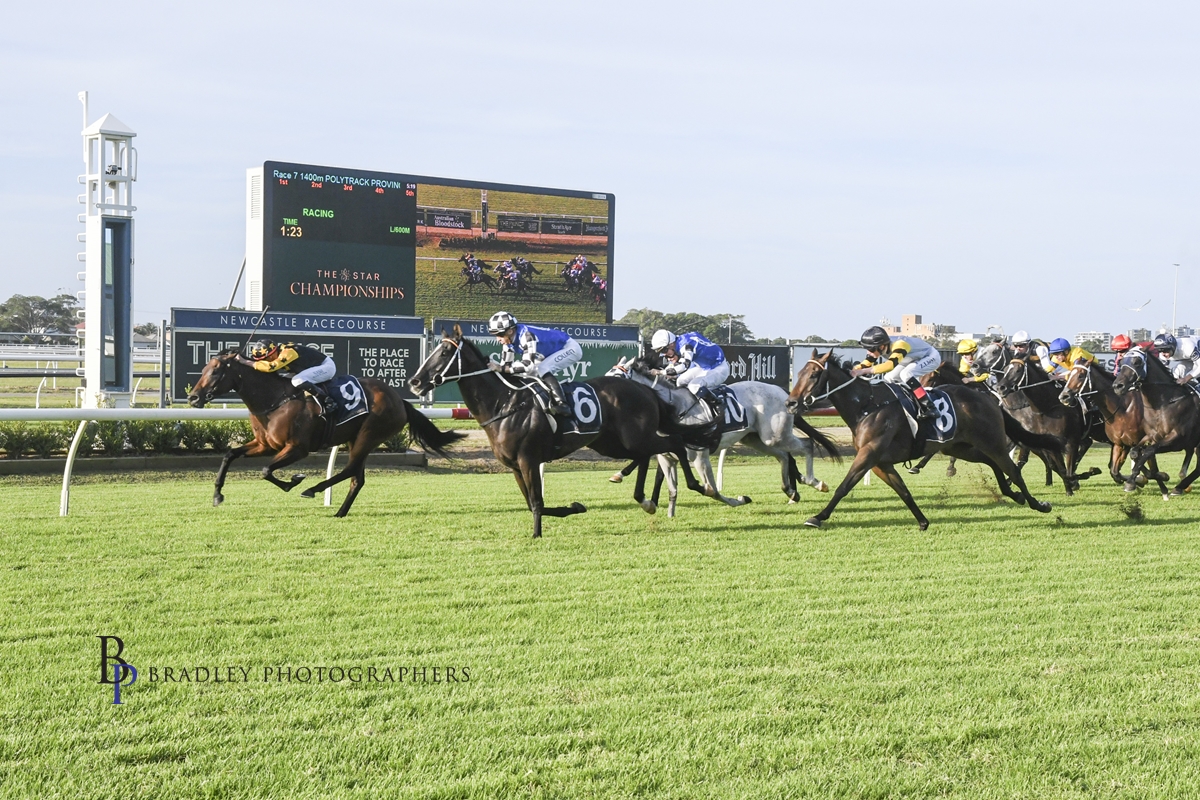 Gary Harley – Wrap – 03.04.24