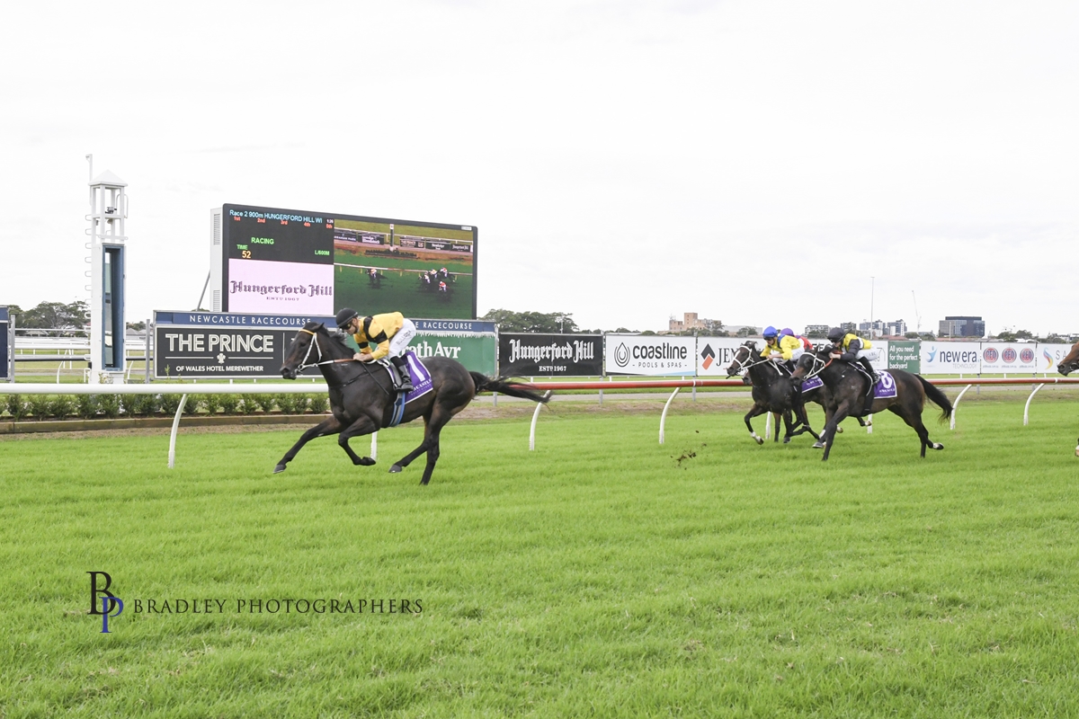 Gary Harley – Preview – 04.05.24