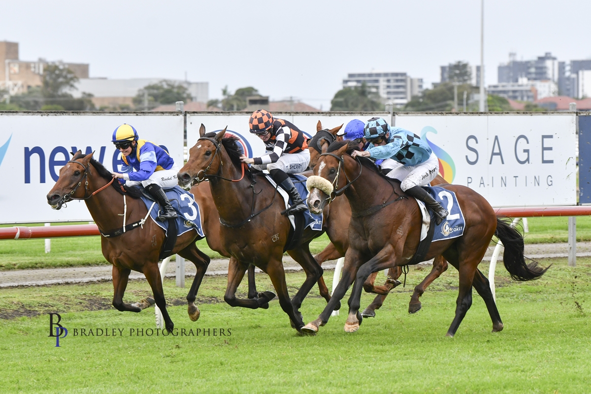 Racing wrap: Newcastle Racecourse track to the $40m rescue