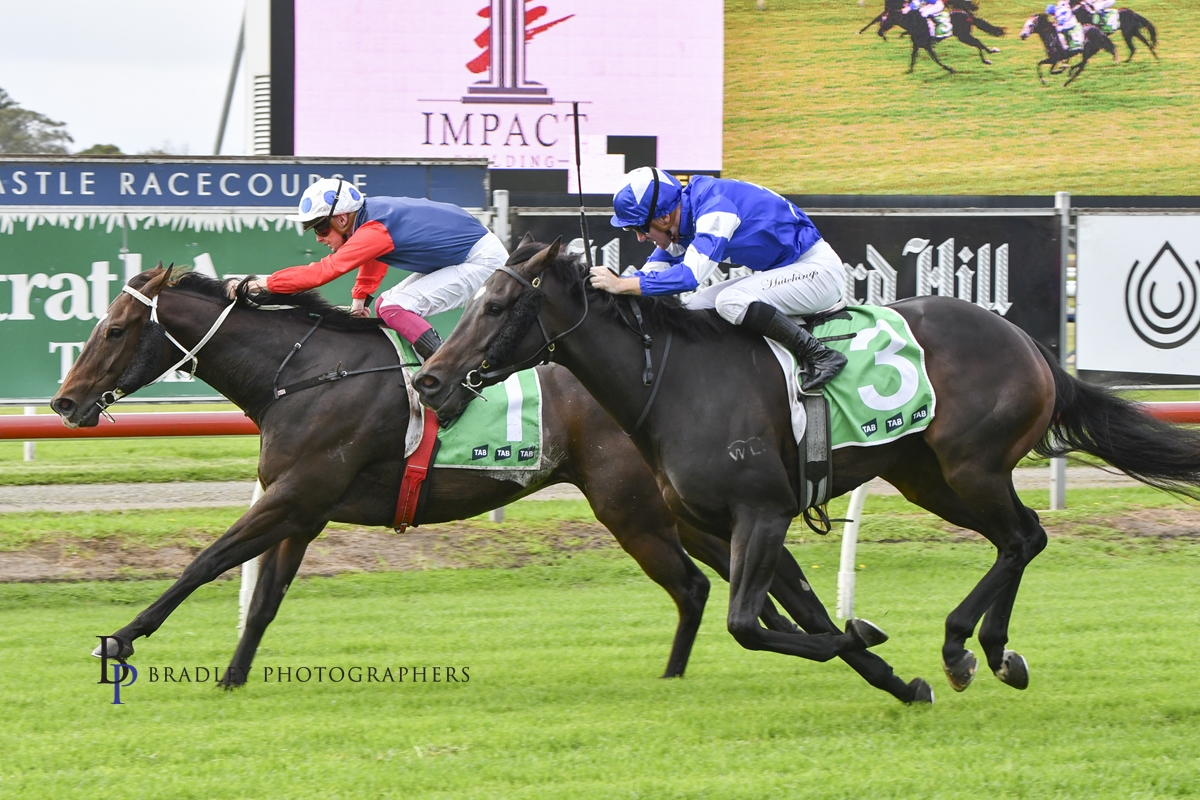 Gary Harley – Wrap – 04.05.24