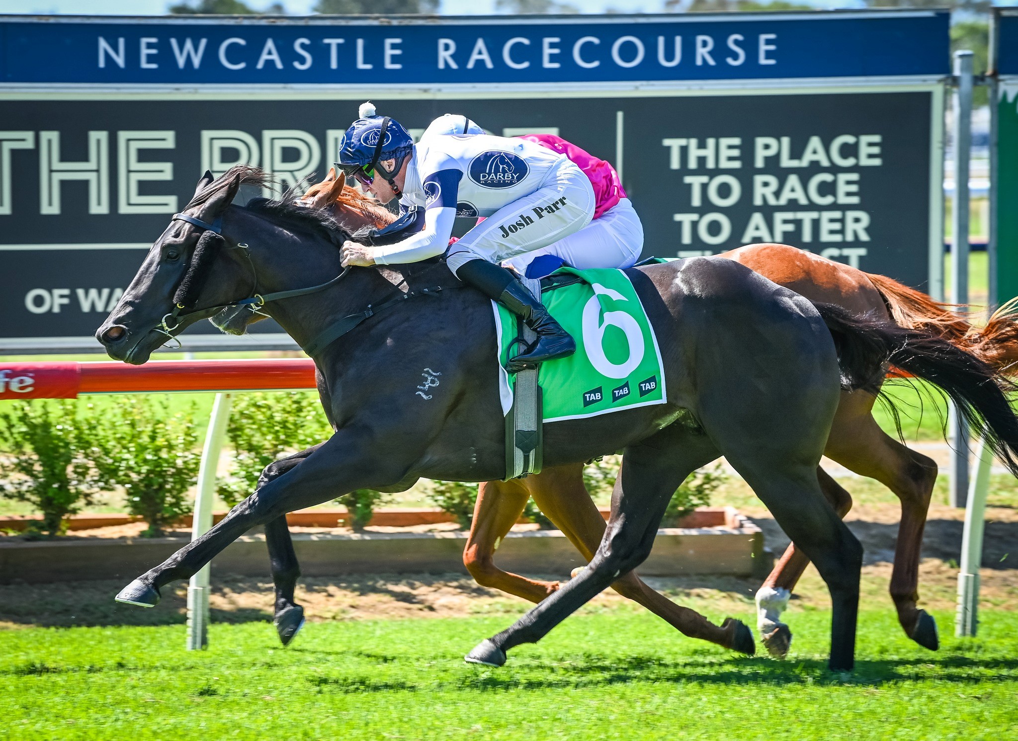 Gosford – The Coast – Transferred to Newcastle