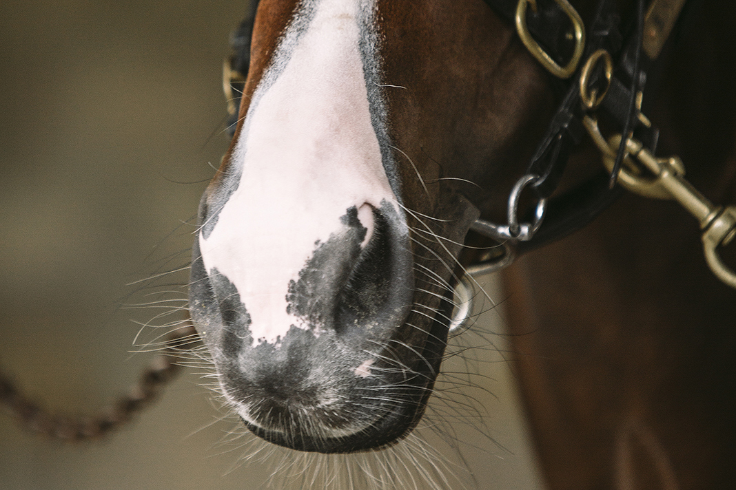 Gary Harley – Herald – 22.06.24