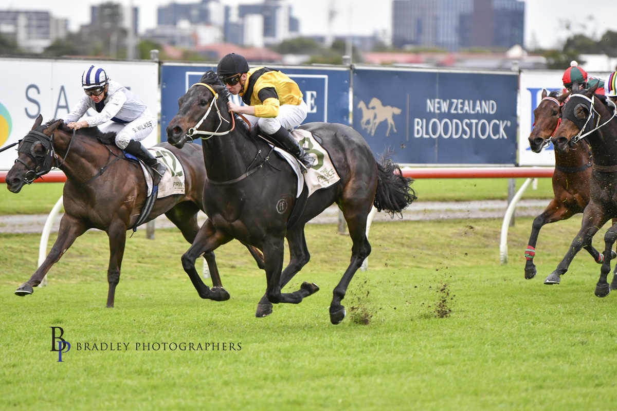 Gary Harley – Wrap – 15.06.24