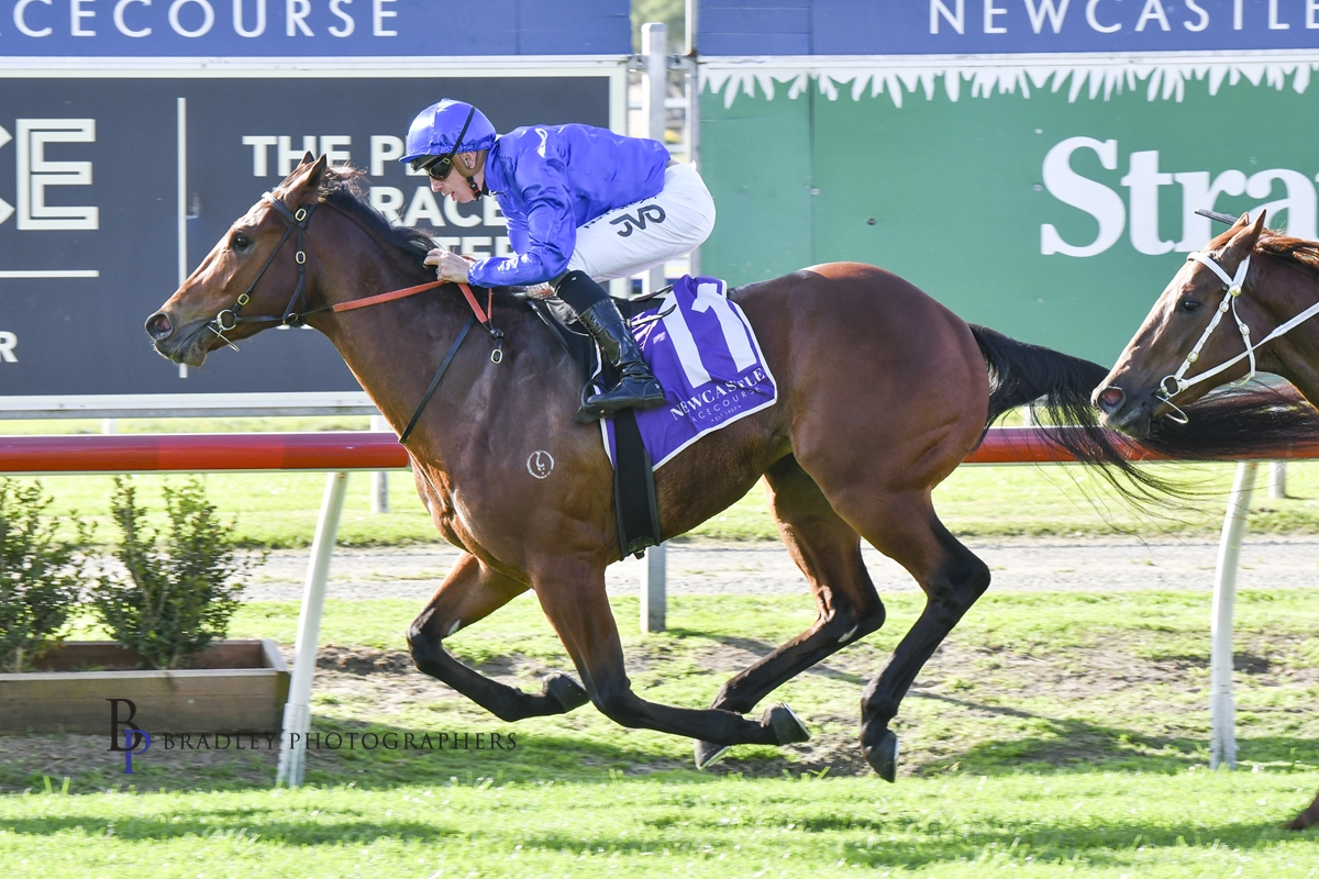 Gary Harley – Wrap – 13.07.24