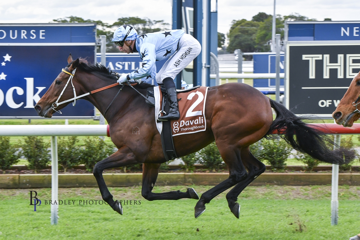 Gary Harley – Wrap – 16.07.24