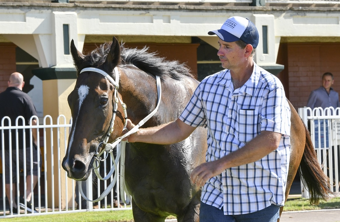 JOHN BANNISTER – YOU SNOOZE, YOU LOSE