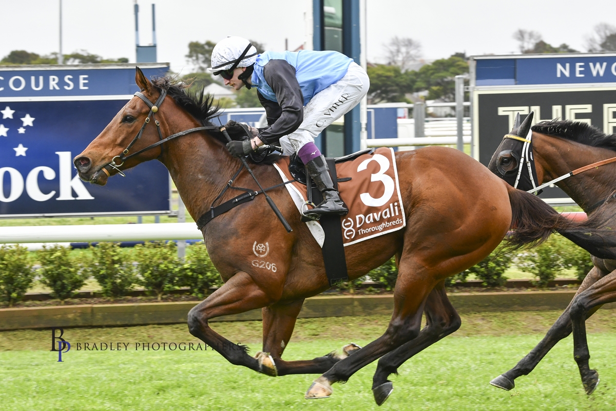 Gary Harley – Wrap – 15.08.2024