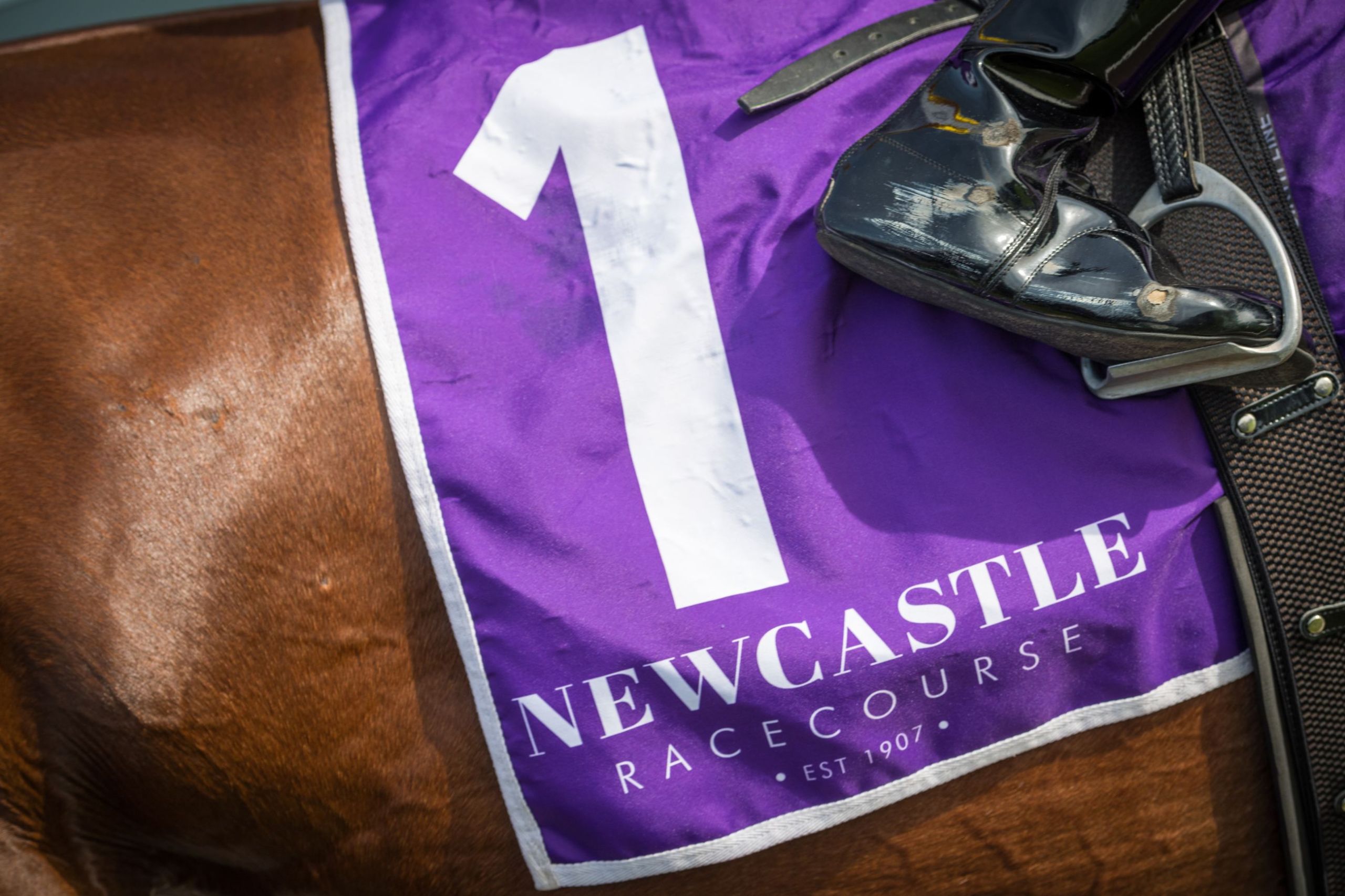 Gary Harley – Herald – 29.08.24