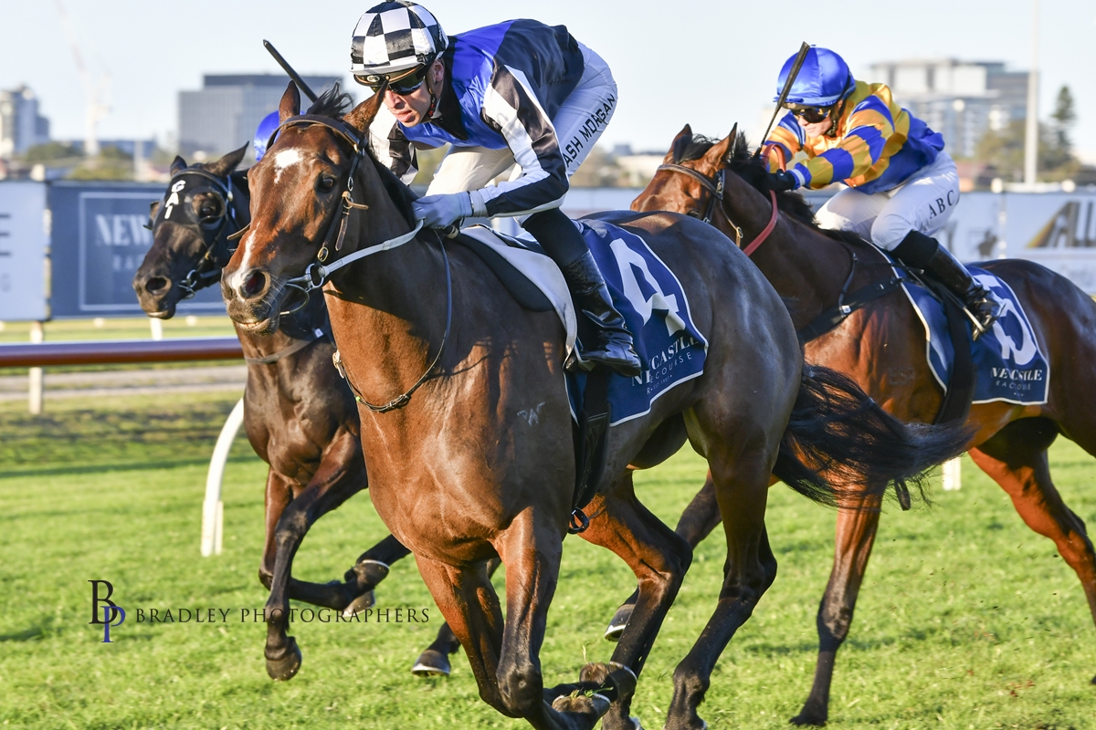 Gary Harley -Wrap – 03/08/2024