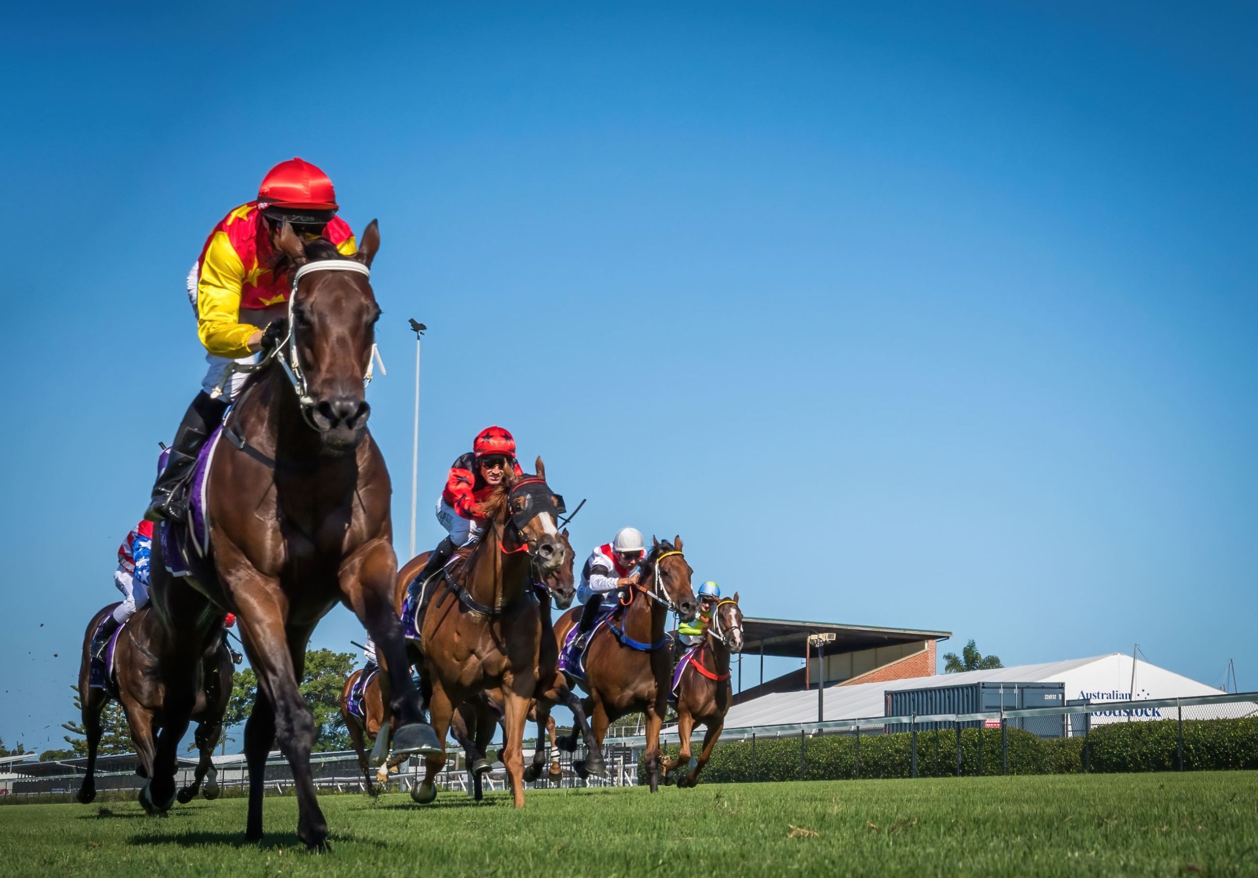 Gary Harley – Herald – 24.08.24