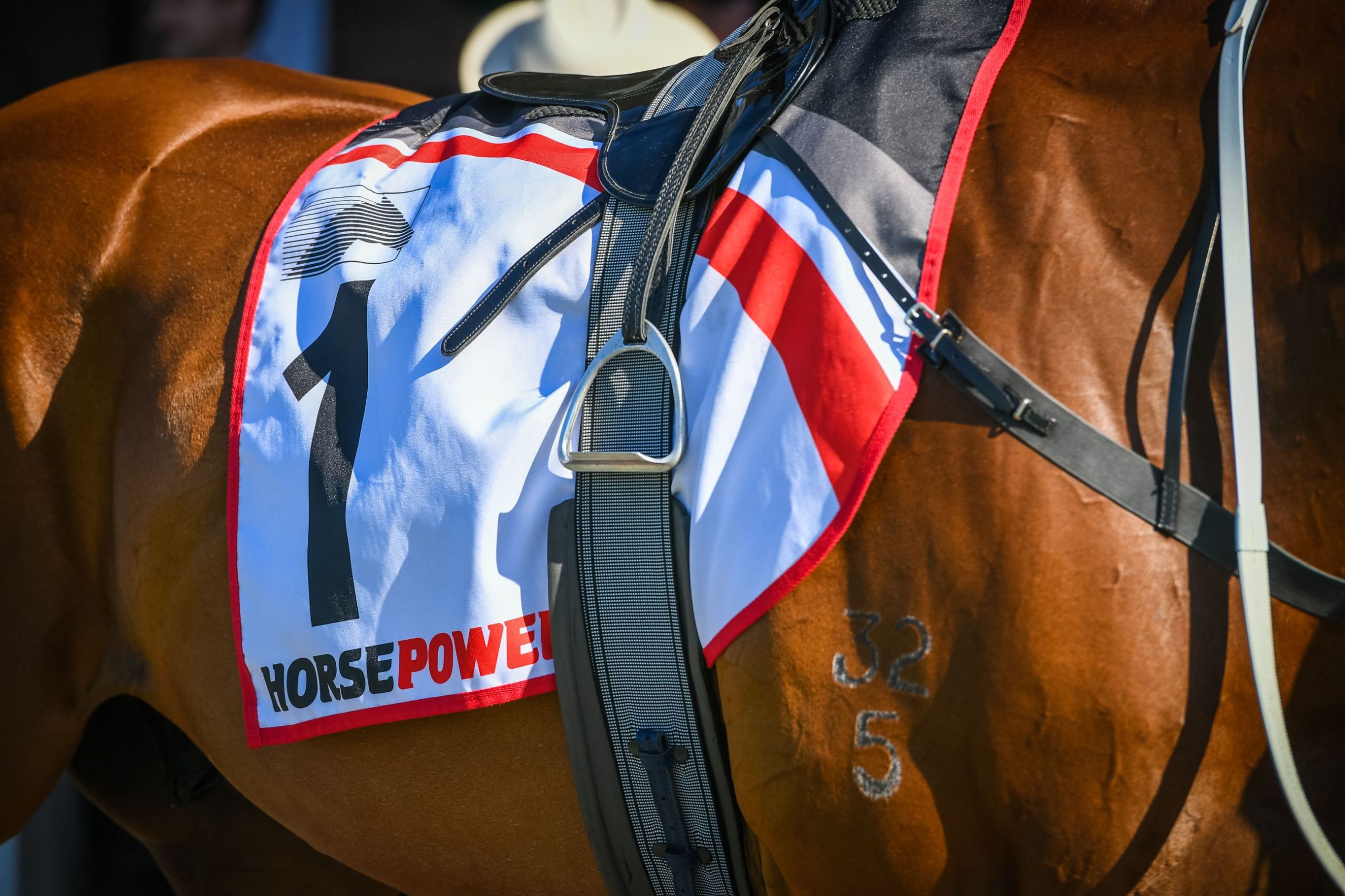 Gary Harley – Preview – 07.03.25