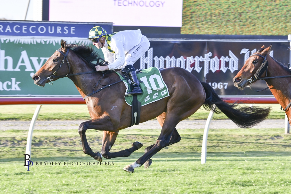 Gary Harley – Wrap – 08.08.24