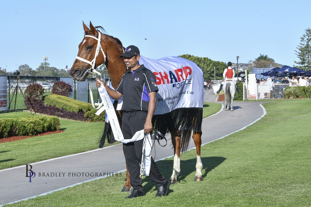 Gary Harley – Wrap – Friday-  20.09.24