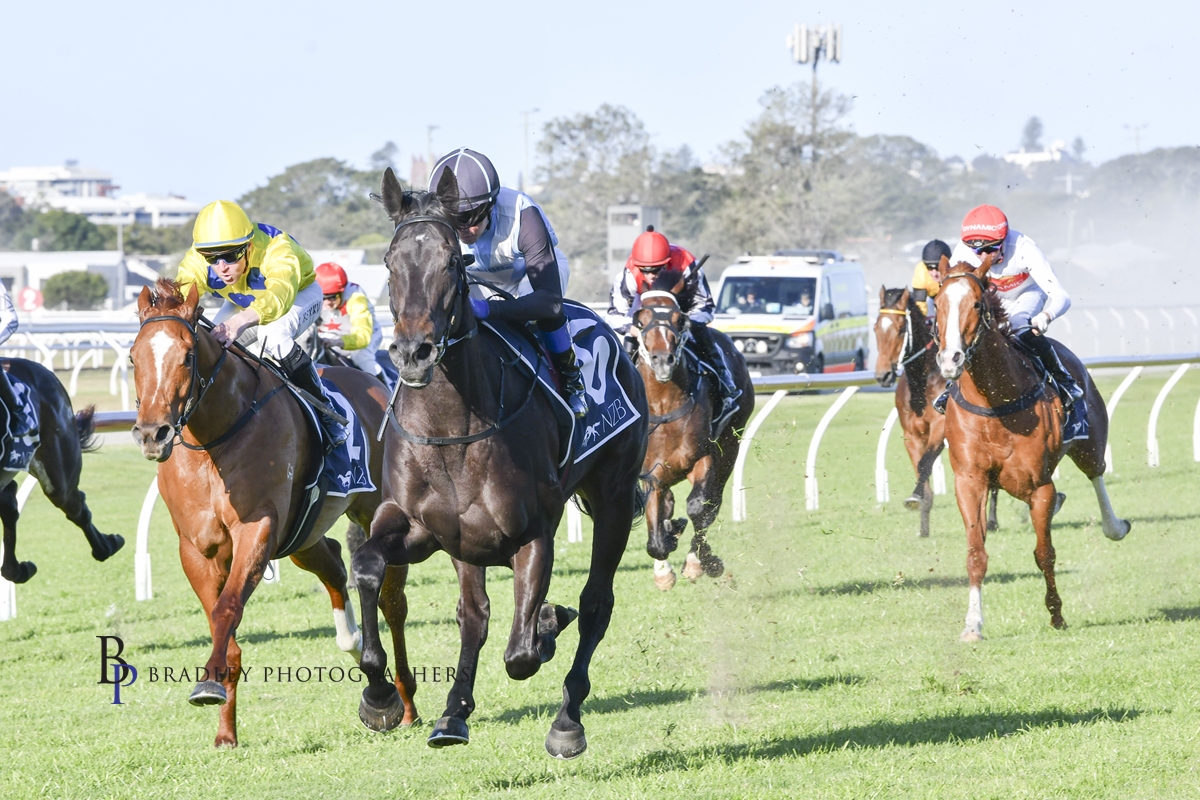 Gary Harley – Wrap – 04/09/2024