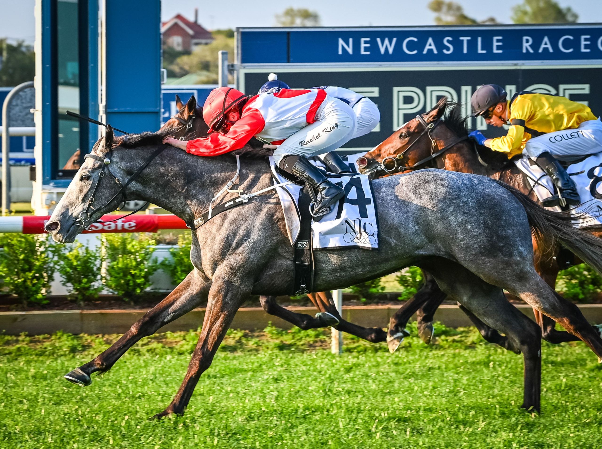 Gary Harley – Herald – 20.09.24