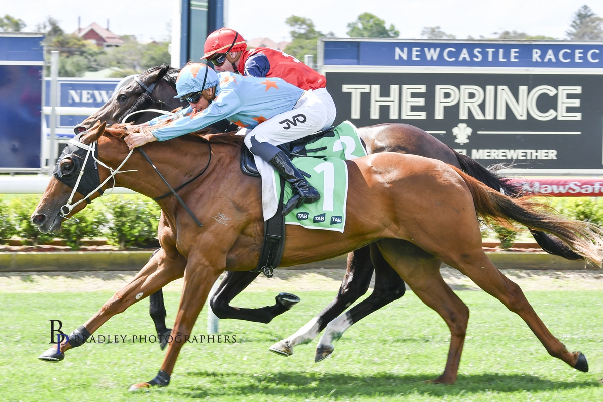 Gary Harley Wrap – 05.10.24