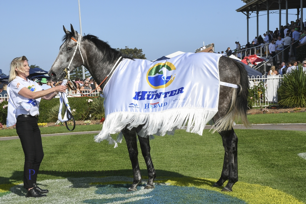 Gary Harley – Wrap – 16.11.24