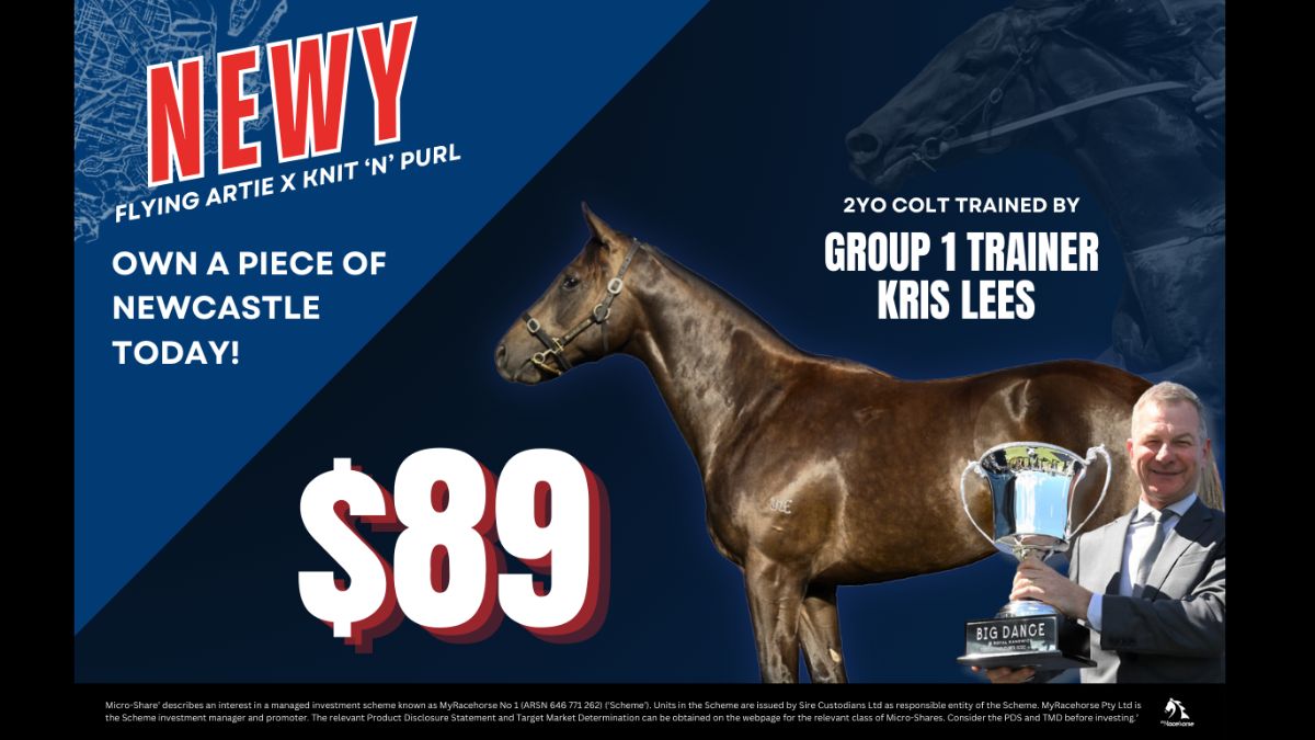 Newy: Trial Replay and Report