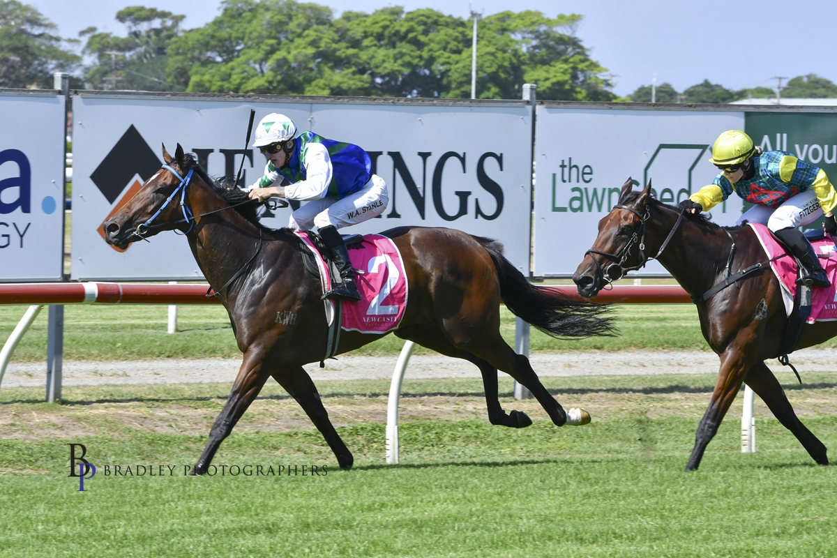 Gary Harley – Wrap – 14.12.24