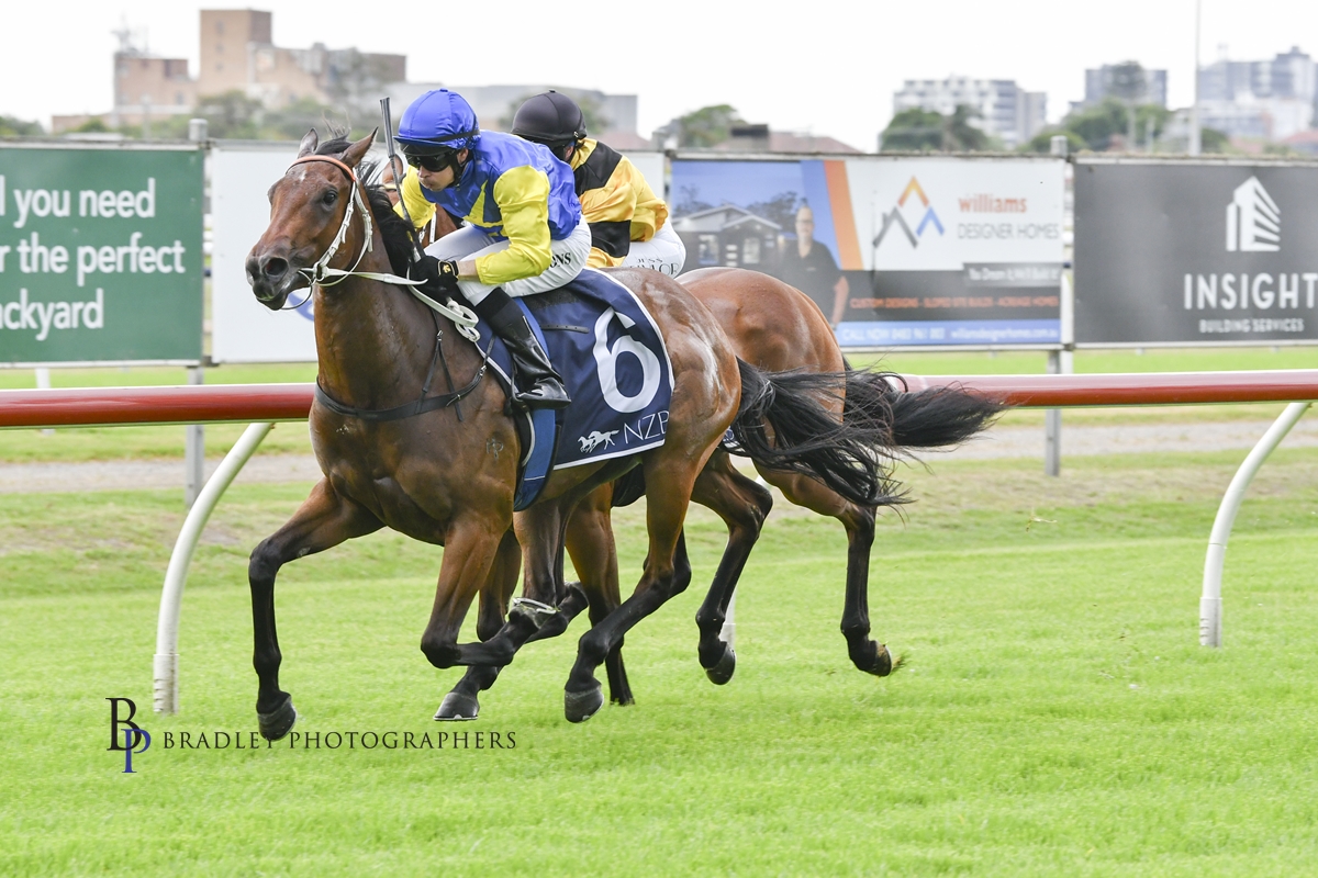 Gary Harley – Wrap – 07.12.24