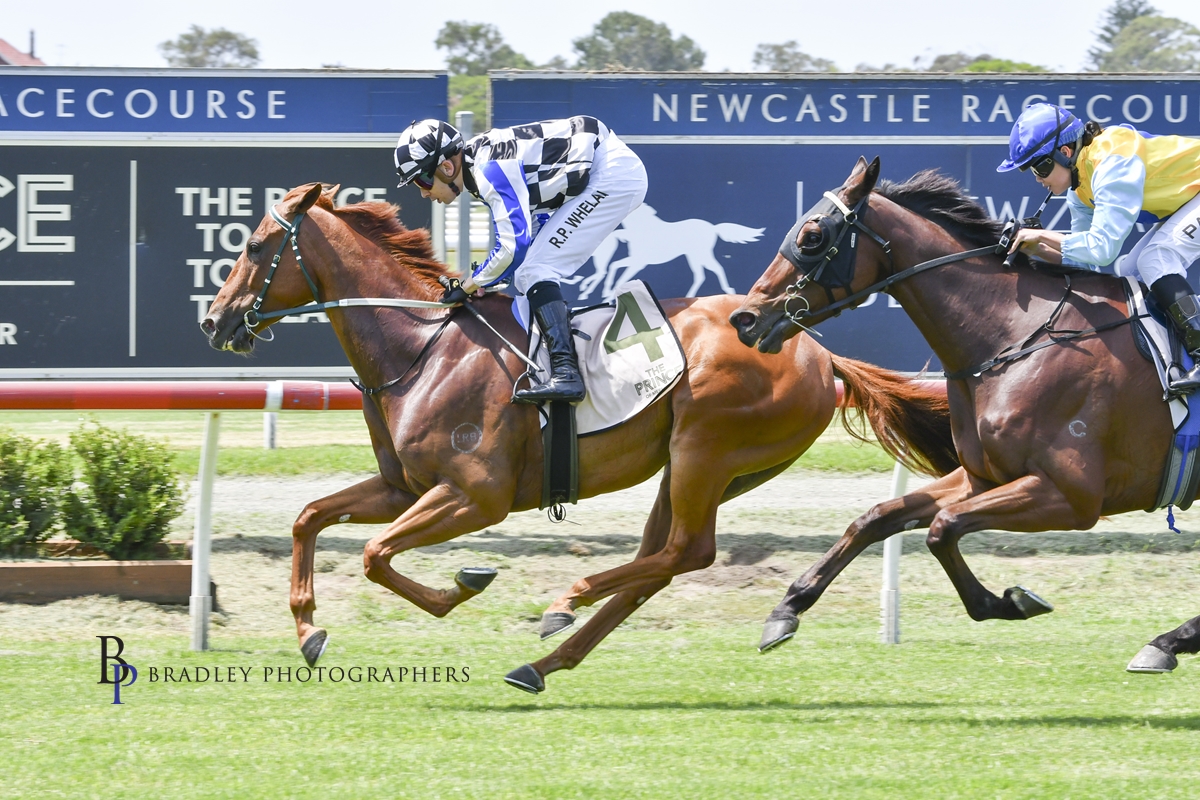 Gary Harley – Wrap – 21.01.25