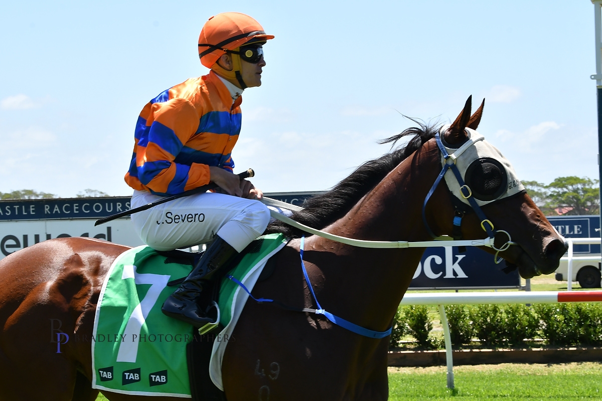 Gary Harley – Wrap – 25.01.25