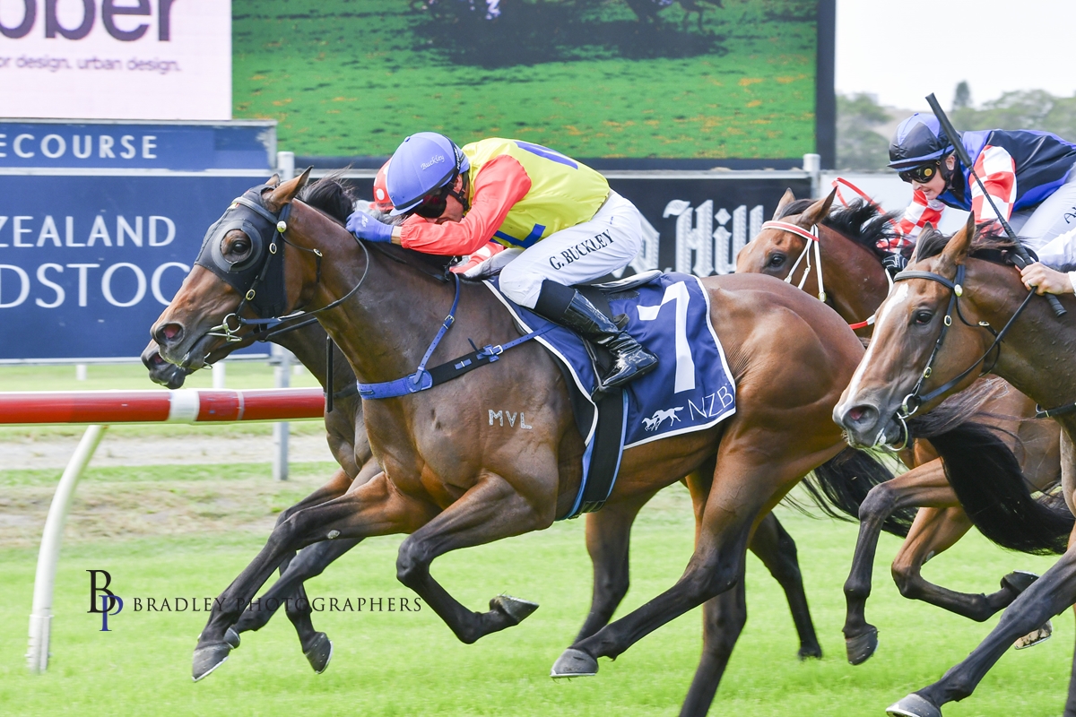 Gary Harley – Wrap – 15.02.25