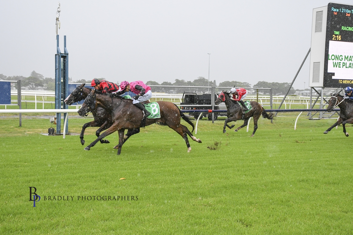 Gary Harley – Wrap – Beaumont 10.02.25