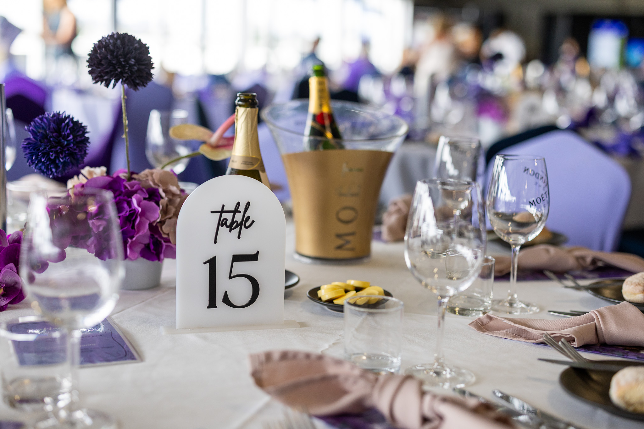 Newcastle Racecourse International Women’s Day event raises $45,000 for local charities