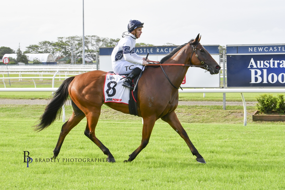 Gary Harley – Wrap – 07.03.25