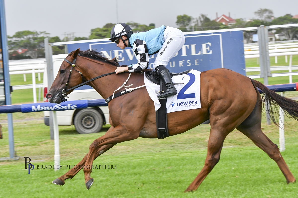 Gary Harley – Beaumont Wrap – 24.03.25