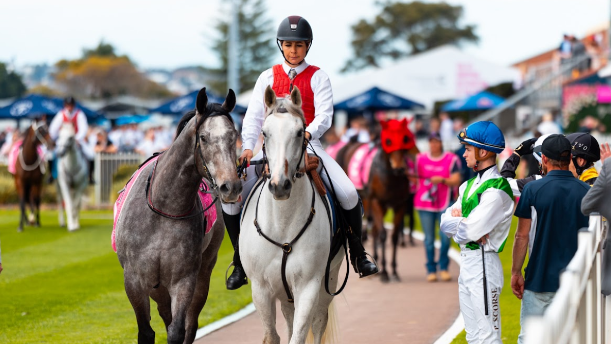 Gary Harley – Herald – 23.08.25