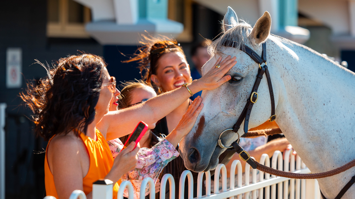 Port Stephens Cup Midweek Race Day