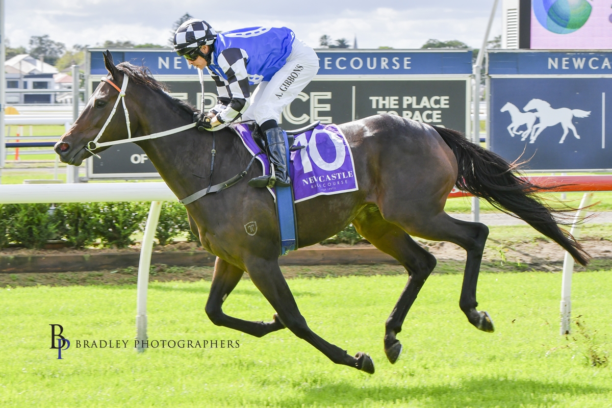 Gary Harley – Wrap – 03.05.25