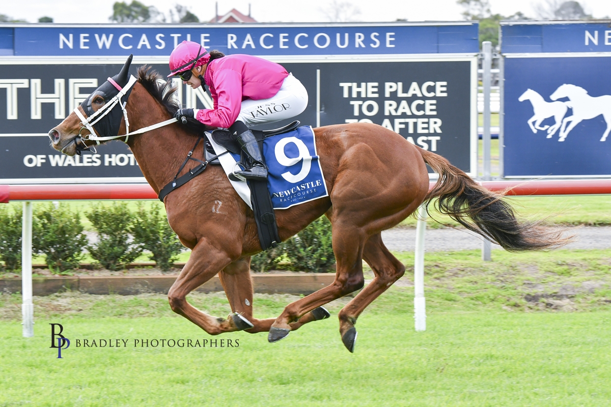 Gary Harley – Wrap – 14.06.25