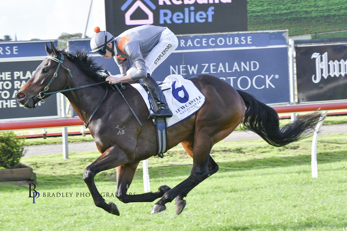 Gary Harley – Wrap – 09.08.25