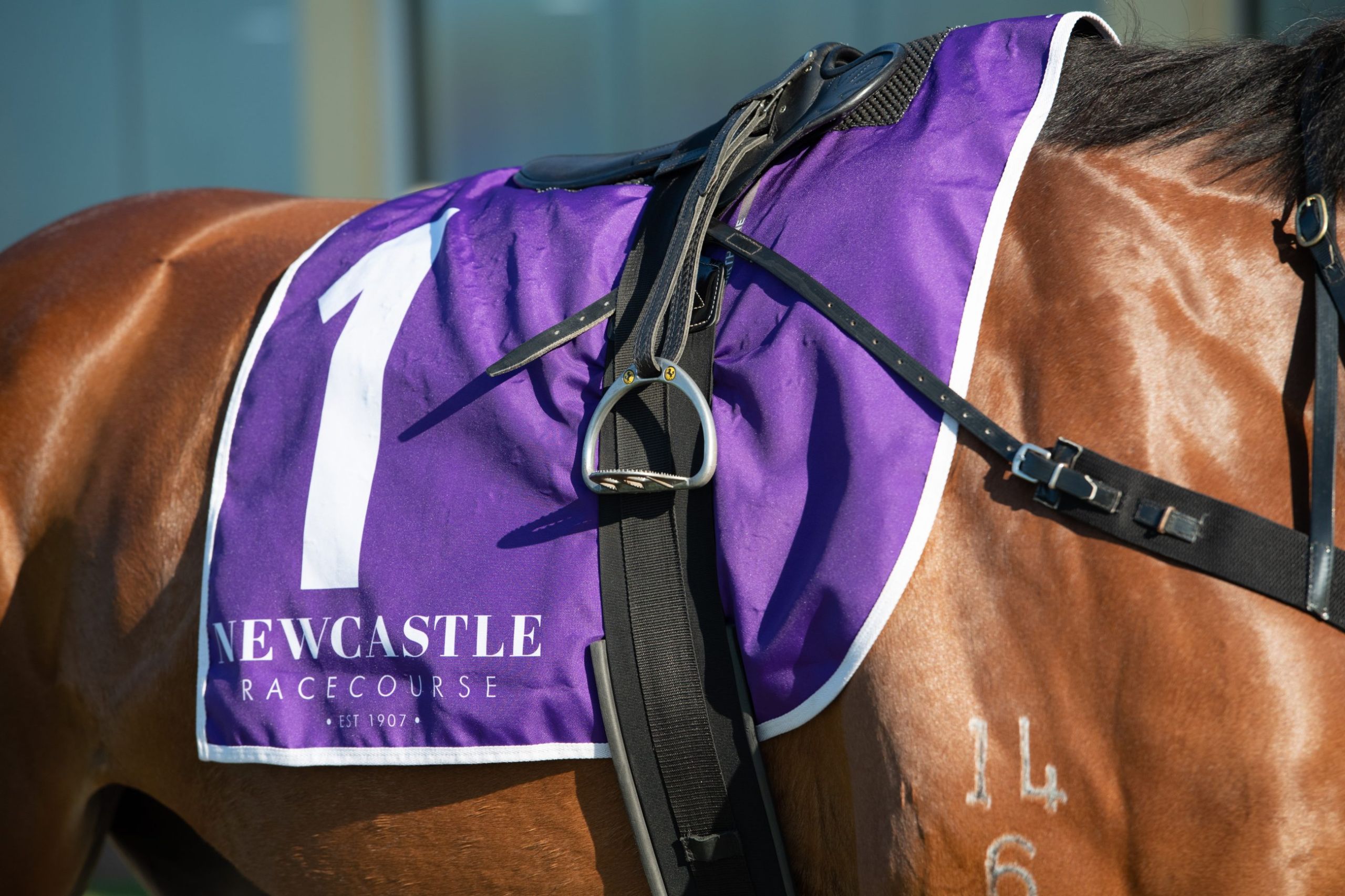 Gary Harley – Herald – 30.11.25