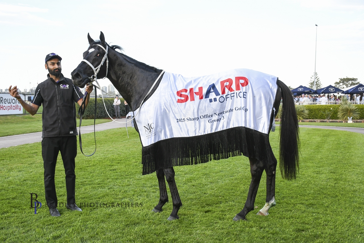 Gary Harley – Wrap – Friday 19.09.25